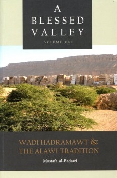(image for) A Blessed Valley : Water Damaged